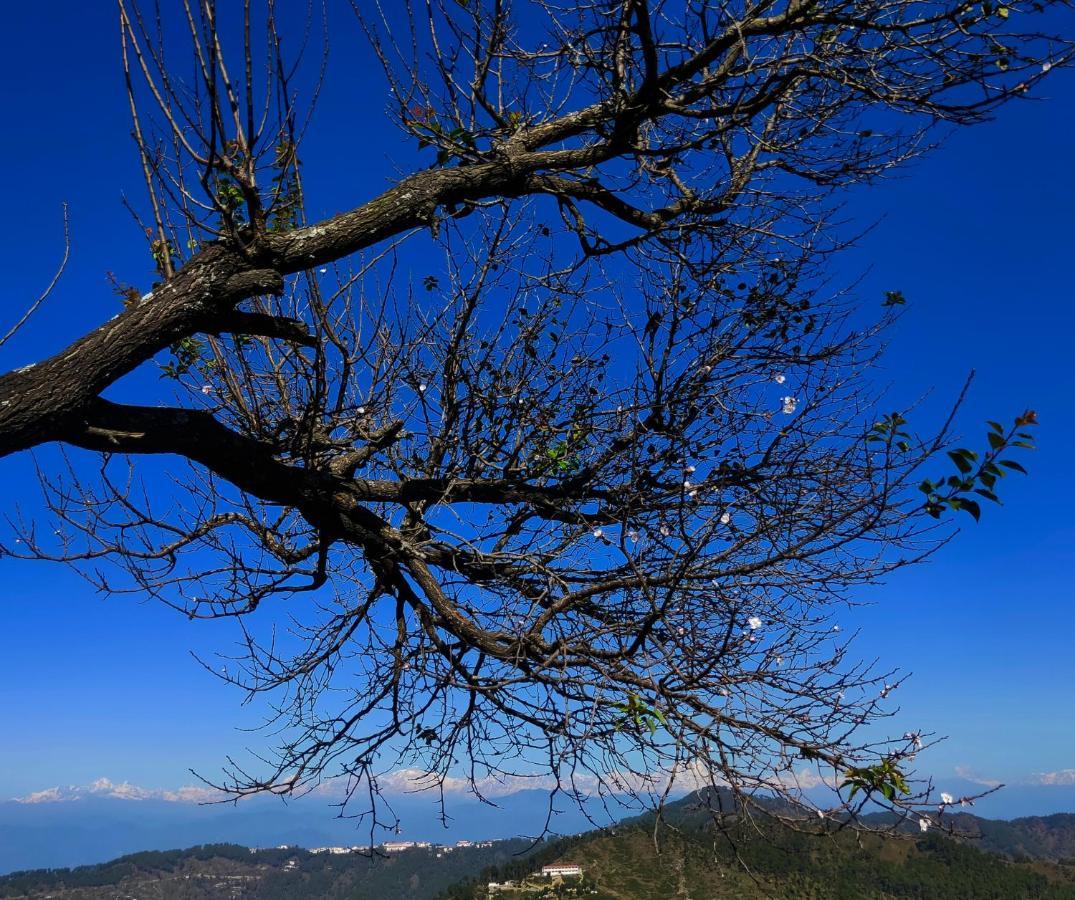 Meraki Huts Pauri Kültér fotó